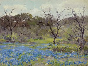 Erken İlkbahar - Bluebonnets ve Mesquite
