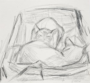 Kediler, 2015 by Julie Held