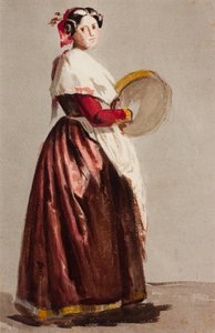  by Julie Wilhelmine Hagen Schwarz