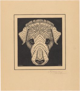 köpek kafası