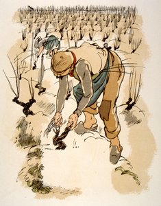 Esprili Şarap İllüstrasyonu 1946. Julien Pavil'in çizimi by Julien Pavil