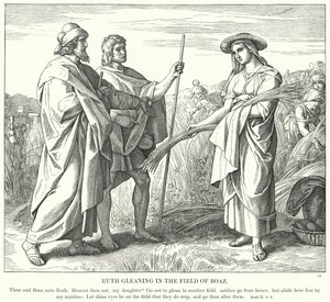 Ruth Gleaning Boaz Tarlasında (gravür) by Julius (after) Schnorr von Carolsfeld