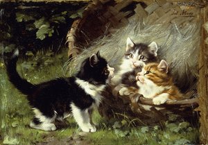 Sepette Oda Var mı? Julius Adam