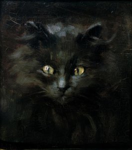 Bir kedi portresi