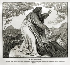 Yaratılışın beşinci günü, Genesis by Julius Schnorr von Carolsfeld