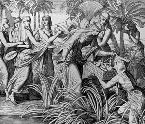 MUSA by Julius Schnorr von Carolsfeld