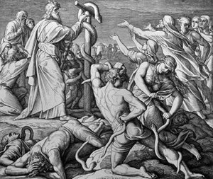 MUSA by Julius Schnorr von Carolsfeld