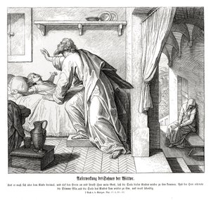 Dul kadının oğlunun canlanması by Julius Schnorr von Carolsfeld