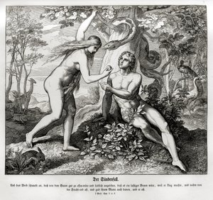 Düşüş, Genesis by Julius Schnorr von Carolsfeld