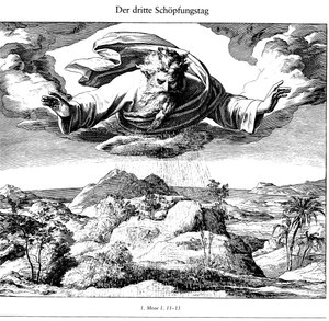 Bildern