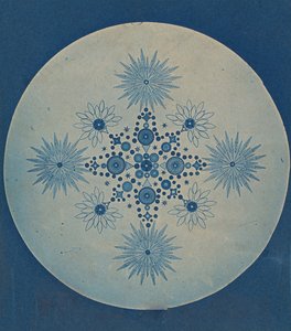 [Diatomların Frustules], ca. 1870. by Julius Wiesner.