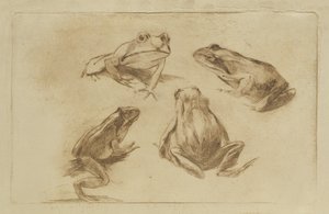  by Julius Wohlers