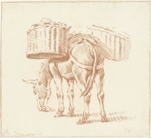 yüklü eşek by Jurriaan Cootwijck