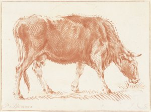 otlayan inek by Jurriaan Cootwijck