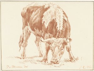 Teşekkürler by Jurriaan Cootwijck