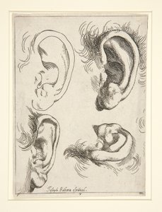 Dört Kulak Çalışmaları by Jusepe de Ribera
