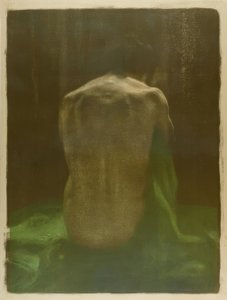 Yeşil bir bez üzerinde arkadan çıplak kadın by Käthe Kollwitz