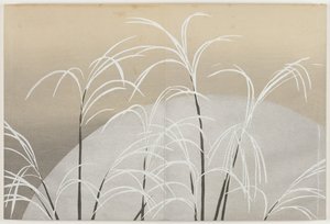 Yüz Dünyanın Çiçekleri (Momoyogusa): Ay Işığında Susuki Otu (Obana ni tsuki) by Kamisaka Sekka