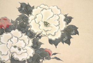 Fukami-Gusa, Momoyo-gusa
