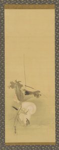 Balıkçıl ve nilüfer, Edo dönemi, 17. yüzyılın ortası - 18. yüzyılın başı.