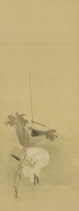 Balıkçıl ve nilüfer, Edo dönemi, 17. yüzyılın ortası - 18. yüzyılın başı (ipek üzerine mürekkep ve renk) by Kano Tsunenobu