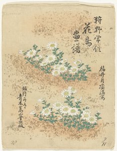 İçindekiler Kano Tsunenobu'nun çiçek ve kuş çizimleri (seri başlığı) Kano Tsunenobu kacho gafu (nesne üzerinde seri başlığı) by Kano Tsunenobu