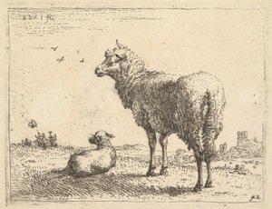 Dörtte üçü ayakta duran ve sola bakan olgun bir koyun, yanında bir kuzu yatıyor..., ca. 1655.
