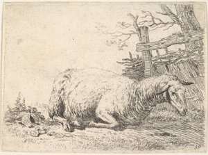 Ahşap bir çitin yanında, bacakları vücudunun altında katlanmış halde yatan bir koyun, o..., ca. 1655.