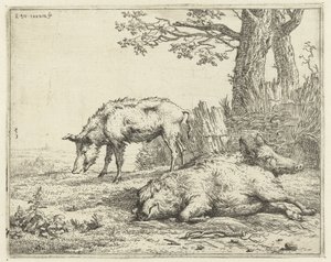 Bir çitin yanında üç yaban domuzu by Karel Du Jardin