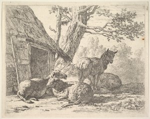 Dört koyun, bir koyun, bir ahırın yanında yerde yatan diğer üç koyun arasında duruyor..., 1658. by Karel Du Jardin