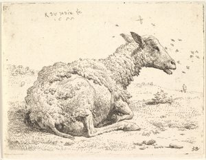 Başının etrafında uçan böceklerle çimenlerde yatan kısmen budanmış koyun, 1655.