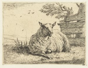 Bir çitin yanında koyun by Karel Du Jardin