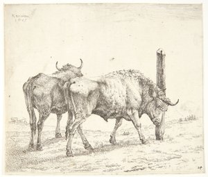 İki Öküz by Karel Du Jardin