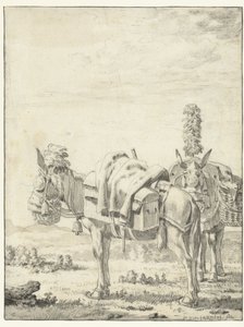 iki katır by Karel Du Jardin