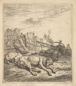 Yerde uyuyan iki köpek, bir saban, tarım aletleri, bir demet saman ve bir ..., yakl. 1641-78. by Karel Du Jardin