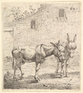 Çimenli bir avluda duran iki eşek, biri sağa, diğeri arkaya dönük profil görünümünde..., 1652.