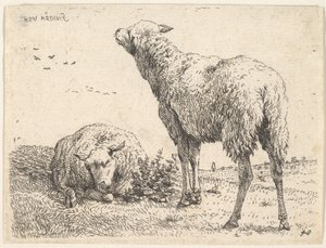 İki koyun, biri önden yatar pozisyonda, bacakları alttan katlanmış olarak gösterilmiştir..., ca. 1655. by Karel Du Jardin