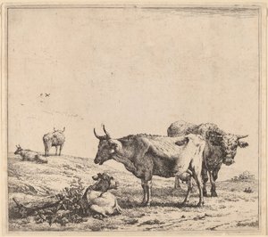İnek, Boğa ve Buzağı