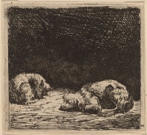 Köpek ve kedi by Karel Dujardin