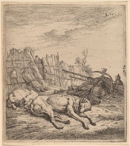 av köpekleri by Karel Dujardin