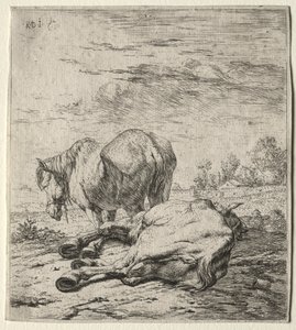 iki at by Karel Dujardin