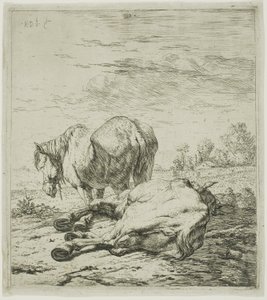 İki at by Karel Dujardin