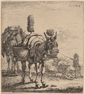 iki katır by Karel Dujardin
