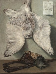  by Karel Purkyne
