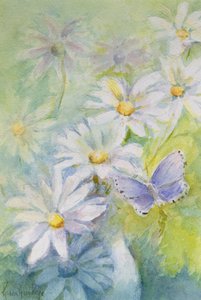 Papatyalarda Ortak Mavi (Polyommatus Icarus) by Karen Armitage