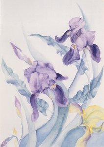 İris, mavi Kısrak by Karen Armitage