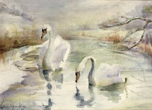 Kışın Kuğular by Karen Armitage