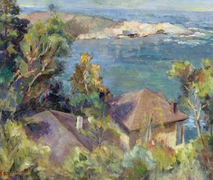 Zapellar, Şili, 1996 by Karen Armitage