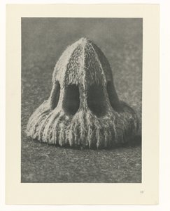Bitki Çalışmaları Sanatın arketipleri: bitkilerin fotoğrafik görüntüleri (seri başlığı) by Karl Blossfeldt
