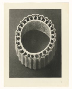 Bitki Çalışmaları Sanatın arketipleri: bitkilerin fotoğrafik görüntüleri (seri başlığı) by Karl Blossfeldt